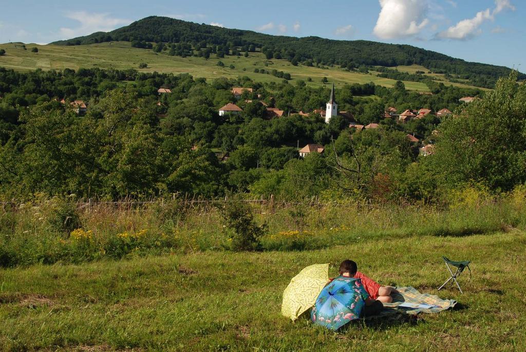 Firtos Vendégház Firtosváralja Kültér fotó